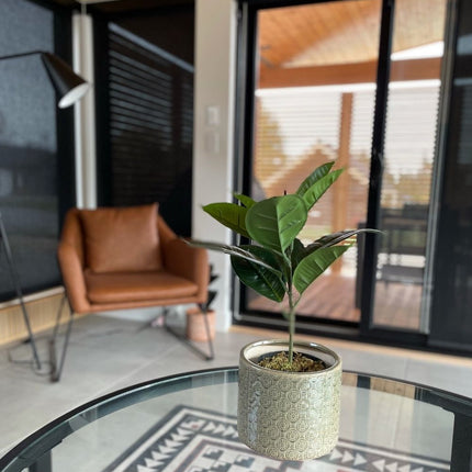 Iza Artificial Rubber Potted Plant 1.4'