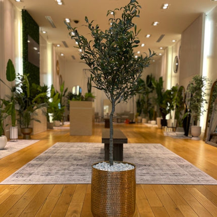 Bertooo - Brass Mid-Century Planter