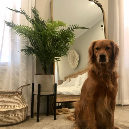 Lolo Artificial Hawaii Palm Potted Plant 3'