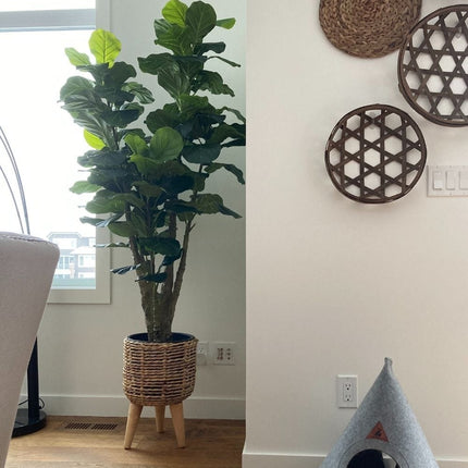 Pico Artificial Fiddle Leaf Potted Plant 5.5'