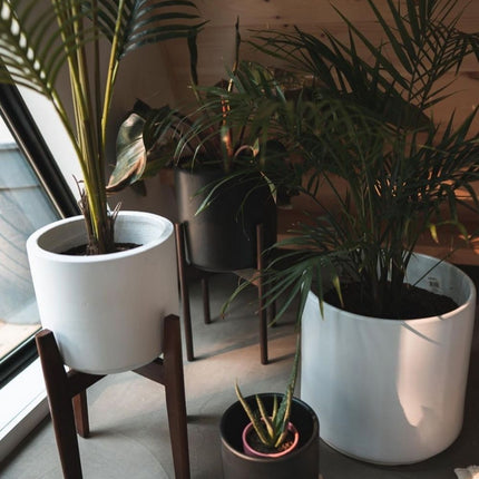 Boni White Mid - Century Cement Planter With Wooden Stand