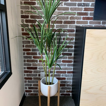 Yulu Artificial Century Potted Plant (Multiple Sizes)