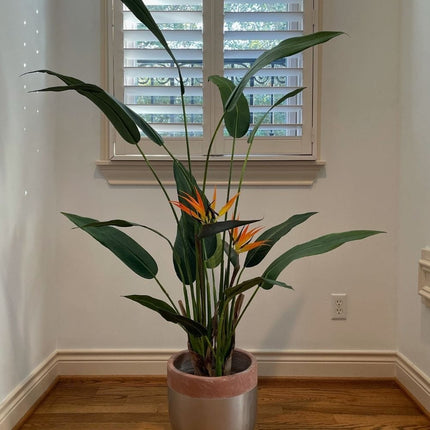 Camilo Glazed Planter 12''