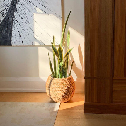 Rafa- Water Hyacinth Natural Round Floor Planter