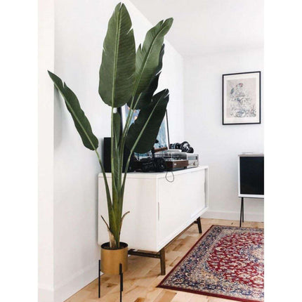 Luca Artificial Bird Of Paradise Potted Plant (Multiple Sizes)