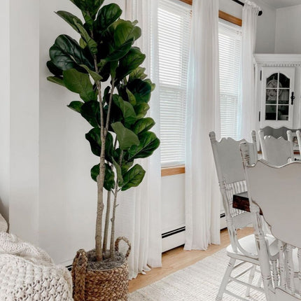 Cece - Water Hyacinth Planter