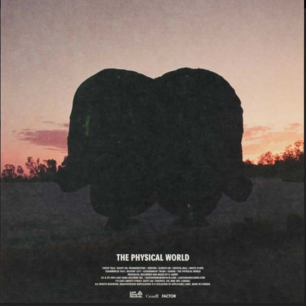 Death From Above 1979 - The Physical World