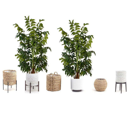 Xavi Artificial Fishtail Palm Tree Potted Plant (Multiple Sizes)