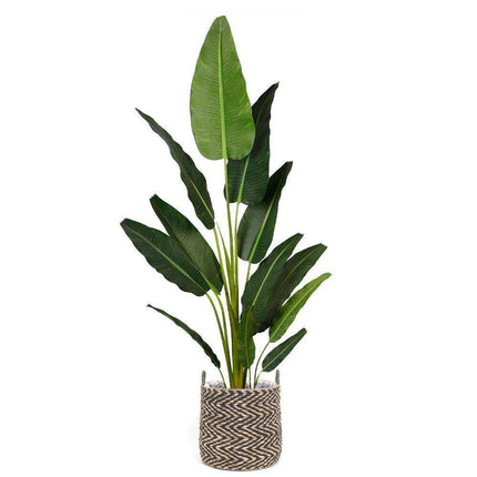 Ximena Water Hyacinth Planter
