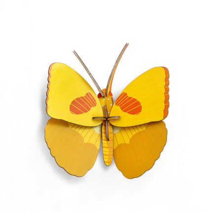 Yellow Butterfly