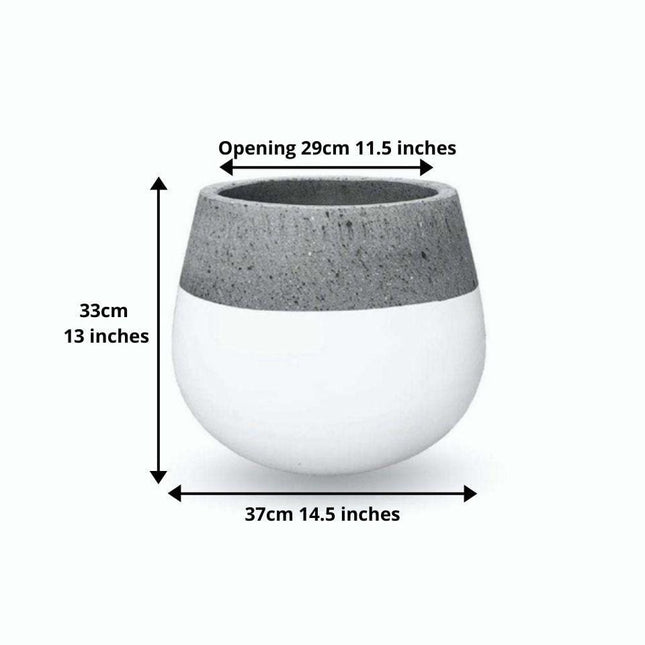 Zamora Cement Planter (Multiple Sizes)