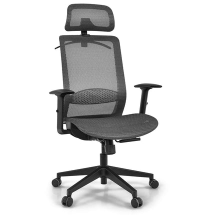 Height Adjustable Ergonomic High Back Mesh Office Chair with Hanger-Black