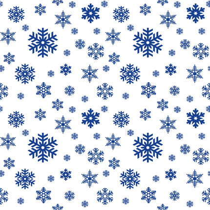 Commemorative Christmas Coin