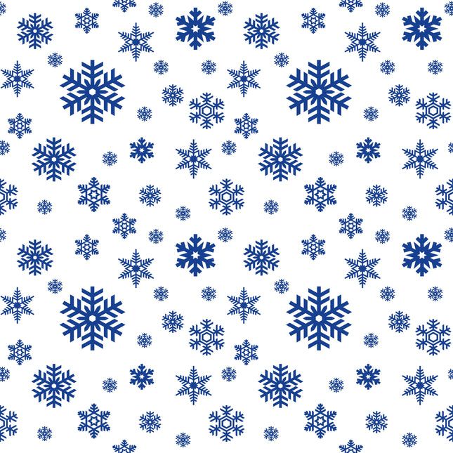 Commemorative Christmas Coin