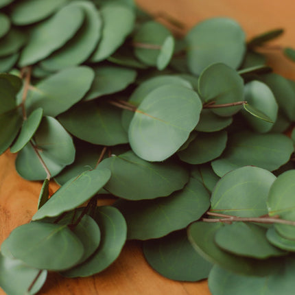 Almost-Real Eucalyptus Garland (artificial)