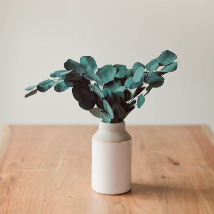 Preserved Silver Dollar Eucalyptus Bundle