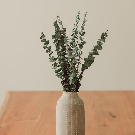 Eucalyptus Stem Bundle