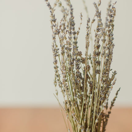Lavender Bundle
