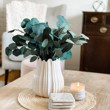 Preserved Silver Dollar Eucalyptus Bundle