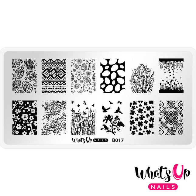 Whats Up - Spring Elation Stamping Plate