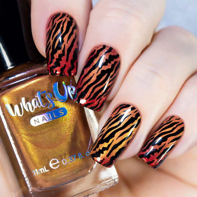 Whats Up - Zoology Trip Stamping Plate